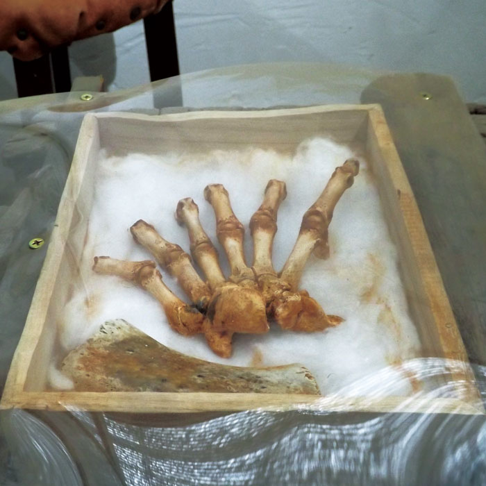 鬼の手－骨おやじ