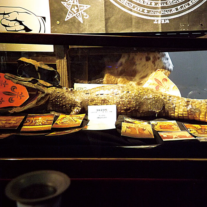 ３本足の鰐－マンタム