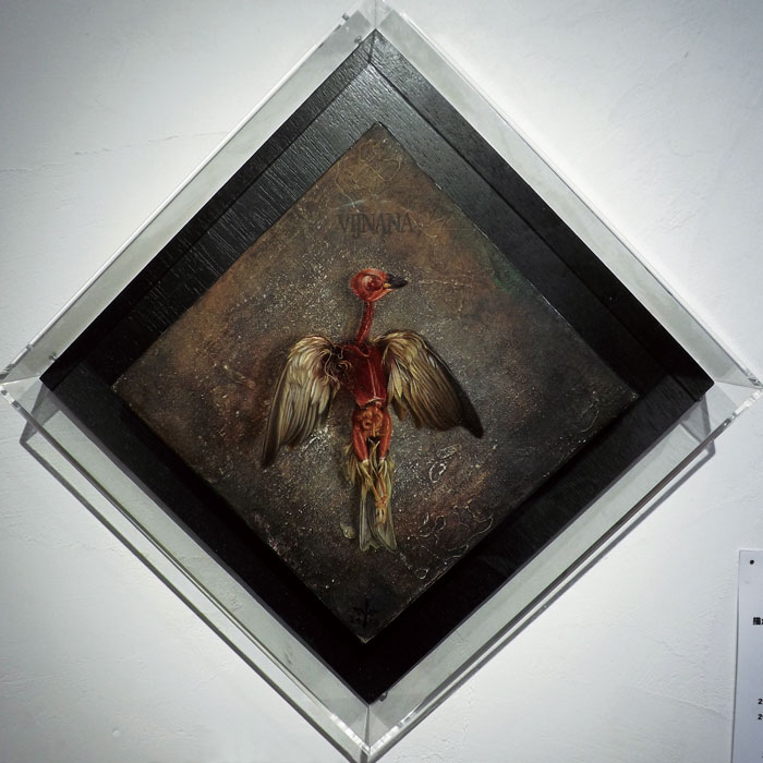 IN UTERO－向川貴晃