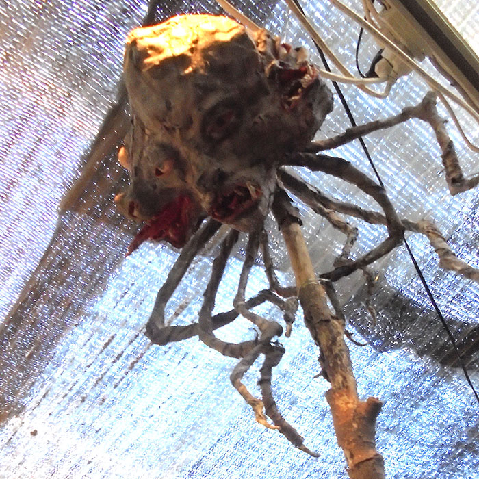 バアルのようなもの－太田翔